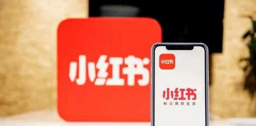 小红书运营特点（打造独具魅力的社交电商平台）