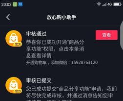 企业抖音号申请指南（从申请到推广，教你打造企业抖音号）