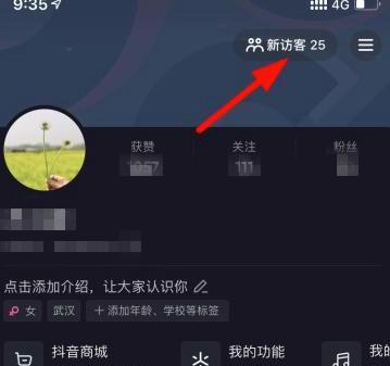 如何查看抖音主页访客记录（一步步教你查看抖音主页访客记录，了解你的粉丝更多）