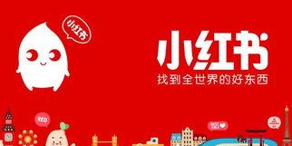 如何有效地推广个人小红书内容（让你的内容在小红书上大放异彩）
