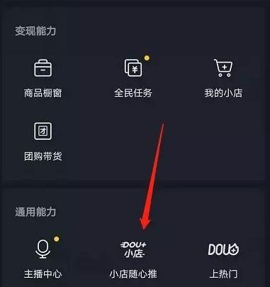 什么是抖音小店随心推（如何在获得数据的基础上进行运营调整）