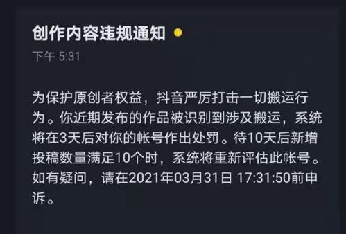 如何让抖音评级申诉在最短时间内得到通过（抖音评级申诉成功经验分享）