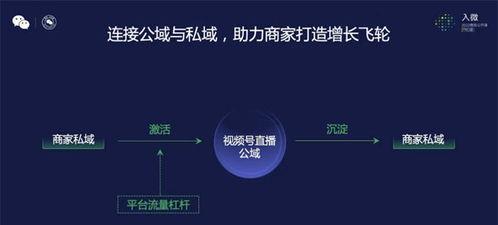 微信视频号直播没流量（教你如何提高直播人气）