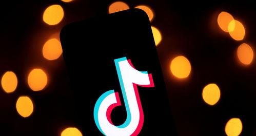 TikTok未授权账号访问政策剖析（保护用户隐私，促进信息安全）