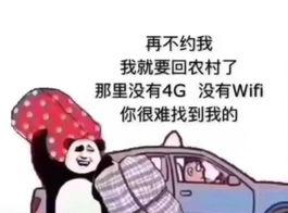 农村抖音段子大爆炸（探寻农村抖音段子的奇妙世界）