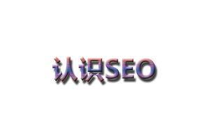桓台全方位SEO优化（桓台SEO关键字优化技巧）