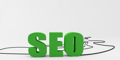 新手如何优化新网站的SEO（提高搜索引擎排名）