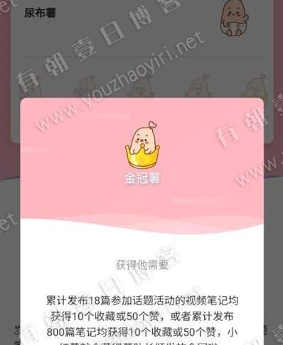 小红书新手必看（从养号意义、方式、注意事项等方面详解）