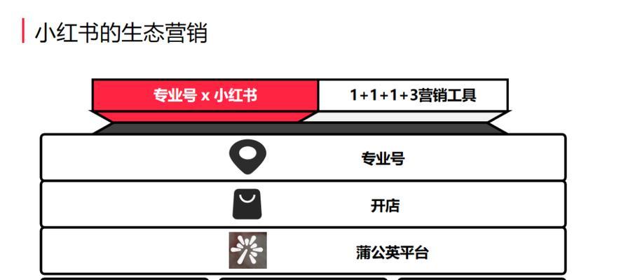 小红书官方号运营攻略（打造高质量内容，提升品牌价值）