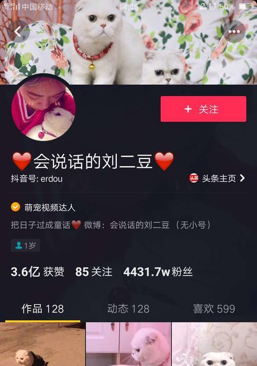 探讨抖音橱窗关闭不了的问题（为何抖音橱窗无法正常关闭？解决方法在哪里？）