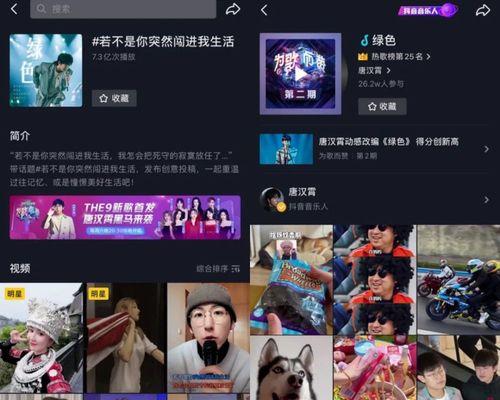 探究抖音创作者管理平台入口及其功能（了解如何使用抖音创作者管理平台，提升创作效率）