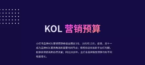 小红书营销的新方式（吸引粉丝撰写文章）