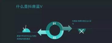 抖音蓝v和抖音企业号的区别是什么（让你更加了解抖音世界）