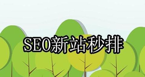 如何利用有效的技巧和策略（提升SEO排名的10种方法）