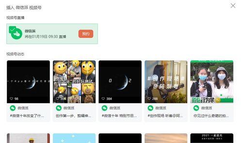 微信视频号直播（快速提升电商销售能力）