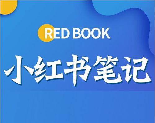 小红书引流攻略（提高店铺曝光率）