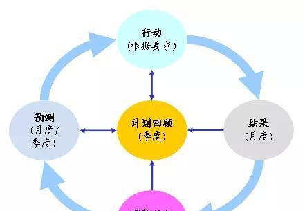 如何提升SEOER与公司各部门之间的协调性？（探讨SEOER如何与其他部门合作，实现共同目标）