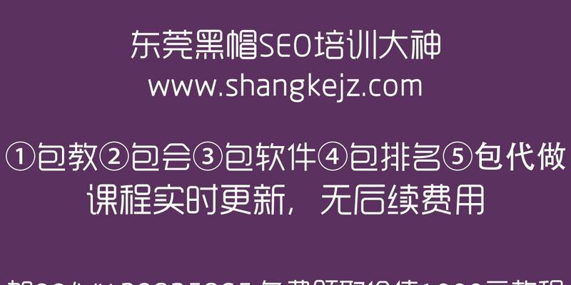 SEO初学者是否需要接受培训？（优化网站排名的必要性与学习途径分析）