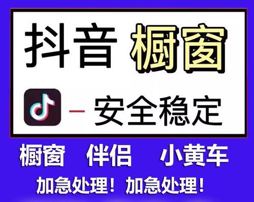 抖音小黄车和橱窗的区别（探究抖音电商两种形式的特点及应用场景）