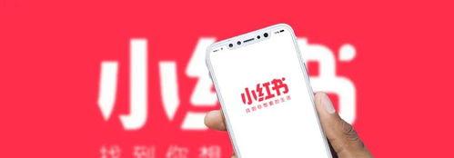 小红书引流粉的最佳方法（打造稳定的粉丝基础，让销售更轻松）