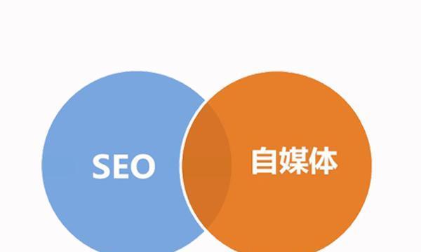 SEO优化技巧大揭秘（打造网站排名第一的秘密武器）