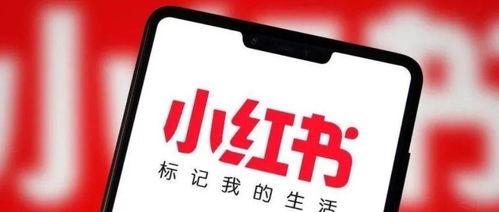 小红书更新这些内容（揭秘用户喜爱的小红书更新内容）