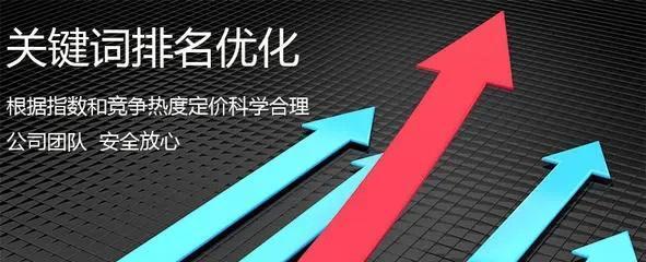 SEO优化必杀技（揭秘成功SEO优化的关键步骤，为你的网站带来更多客流量和订单）