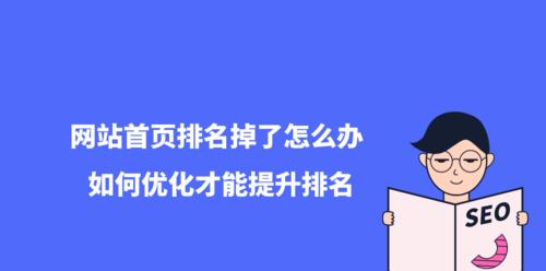 竞争对手网站评估技巧（如何分析对手网站的SEO策略并制定优化计划）