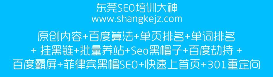 白帽SEO霸屏推广技术解析（白帽SEO的霸屏推广技巧和方法）