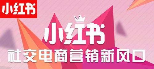 小红书达人合作攻略（让你的品牌与达人更亲密接触）