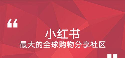 小红书达人合作攻略（让你的品牌与达人更亲密接触）