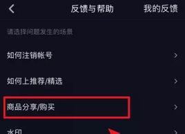 抖音播放量到底有没有带来收入（一起揭秘吧）