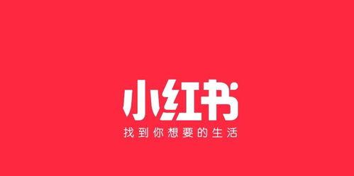 小红书爆文技巧大揭秘（揭秘小红书引爆粉丝热潮）