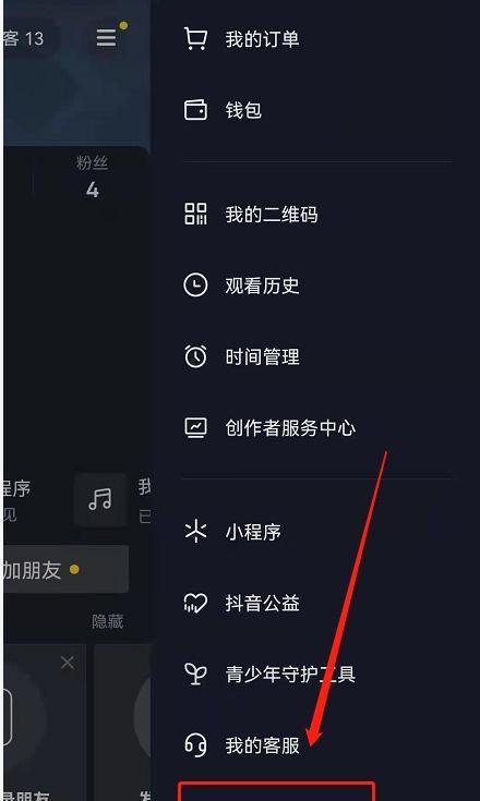 抖音用户无法通过ID搜索的解决方法 （抖音中搜索不到用户的原因）