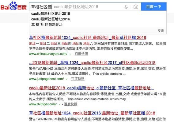 单页网站的SEO优化（探讨单页网站SEO优化的利弊）