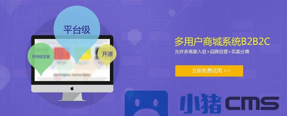 电商网站如何吸引用户？（探讨电商网站吸引用户的方法和技巧）