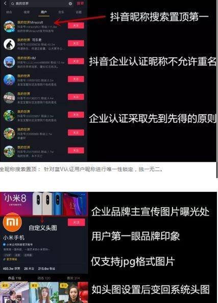 快手蓝V认证申请流程详解（快手蓝V认证需要多少钱？如何申请？申请条件是什么？）