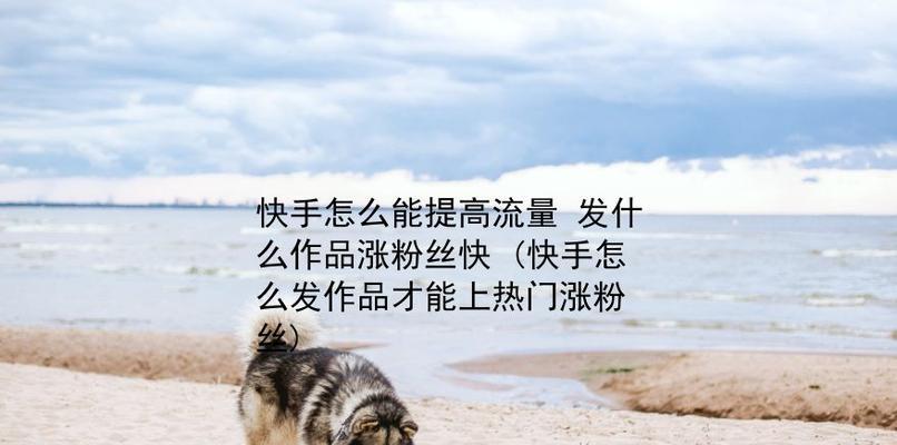 快手作品能否带来经济收益（探究快手短视频平台作品如何赚钱）