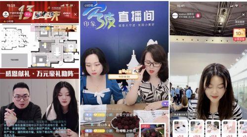如何优化抖音直播品牌推广（掌握技巧，打造高效营销）