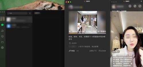如何让视频号直播获得更多流量粉（让你的直播观众快速增长）