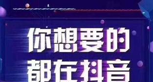 抖音涨粉上热门的技巧和策略（让你的抖音视频广受欢迎）