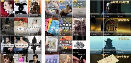抖音主账号和子账号是有牵挂的吗（账号的关系及其影响）