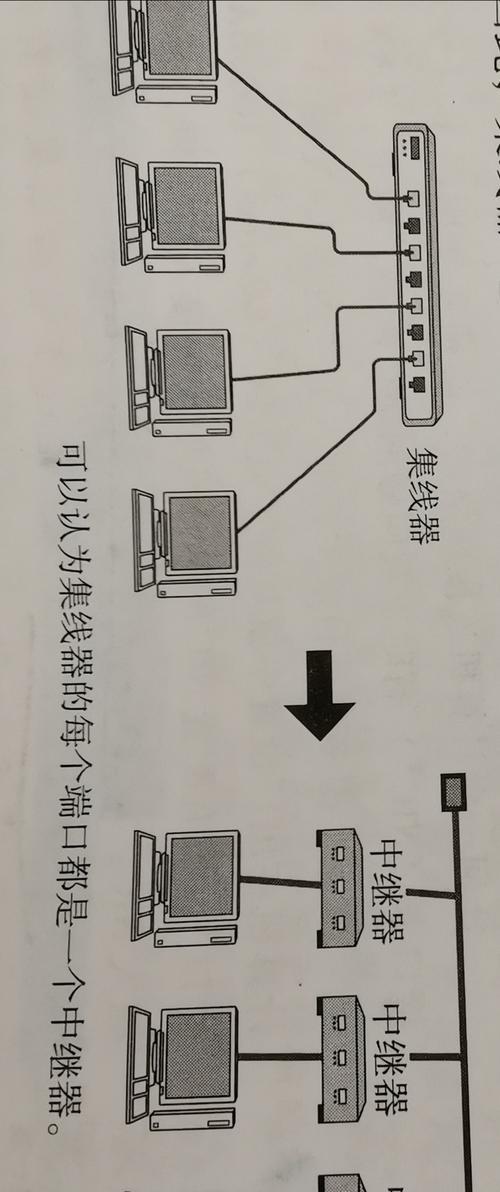 外链分类详解（掌握分类知识，提升网站权重）