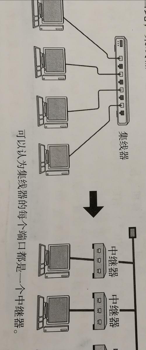 外链分类详解（掌握分类知识，提升网站权重）