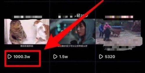 提高抖音作品播放量的实用技巧（让你成为大家喜欢的明星）