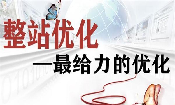 从整站优化到长期维护，你需要了解的关键策略（一站式整站优化方案，助力网站长期稳健发展）