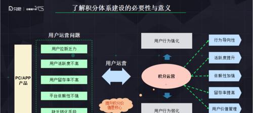 企业如何有效运营网站（打造专业网站，提升企业形象和品牌价值）