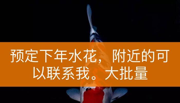 快手新春锦鲤活动规则：抢夺锦鲤福气满满