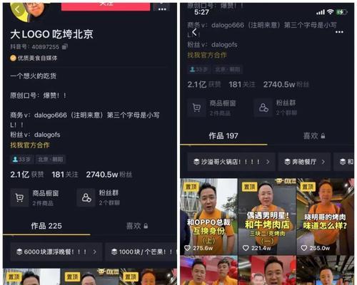 探讨最吸粉的短视频类型（分析不同类型短视频的粉丝吸引力和特点）